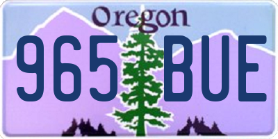 OR license plate 965BUE
