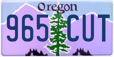 OR license plate 965CUT