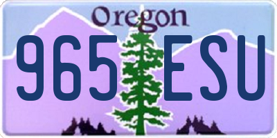 OR license plate 965ESU