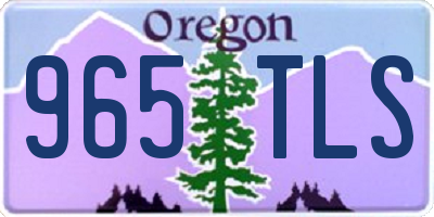 OR license plate 965TLS