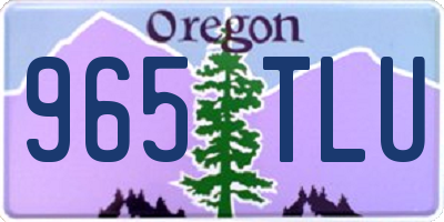 OR license plate 965TLU