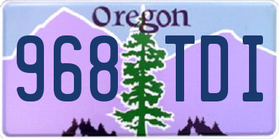 OR license plate 968TDI