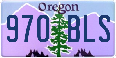 OR license plate 970BLS