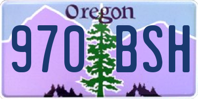 OR license plate 970BSH