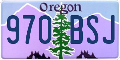 OR license plate 970BSJ