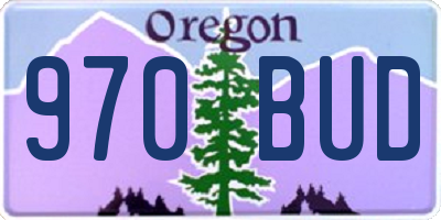 OR license plate 970BUD