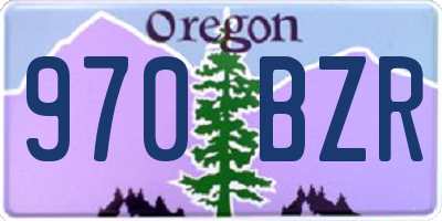 OR license plate 970BZR