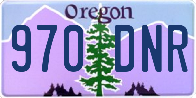OR license plate 970DNR