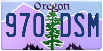 OR license plate 970DSM