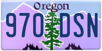 OR license plate 970DSN