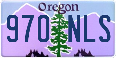 OR license plate 970NLS
