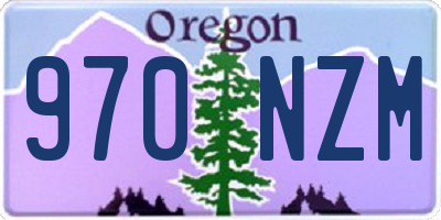 OR license plate 970NZM