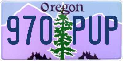 OR license plate 970PUP