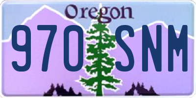 OR license plate 970SNM