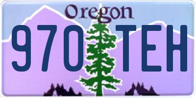 OR license plate 970TEH