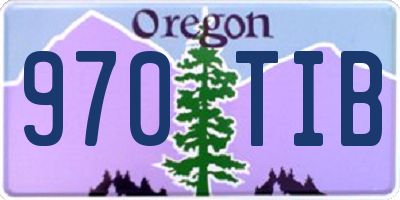 OR license plate 970TIB