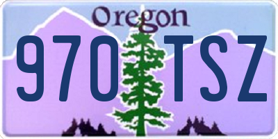 OR license plate 970TSZ
