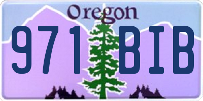 OR license plate 971BIB