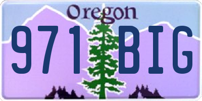 OR license plate 971BIG
