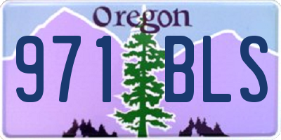 OR license plate 971BLS