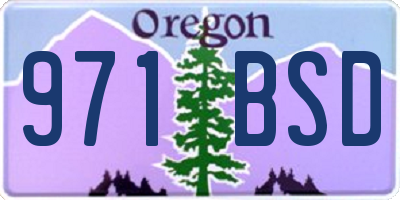 OR license plate 971BSD