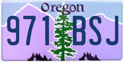 OR license plate 971BSJ