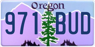 OR license plate 971BUD