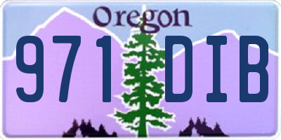 OR license plate 971DIB