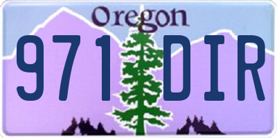 OR license plate 971DIR