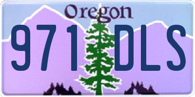 OR license plate 971DLS