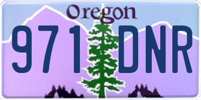 OR license plate 971DNR
