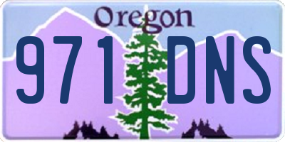 OR license plate 971DNS