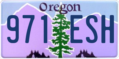 OR license plate 971ESH