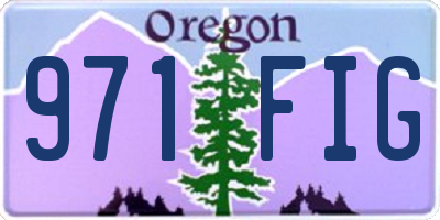 OR license plate 971FIG