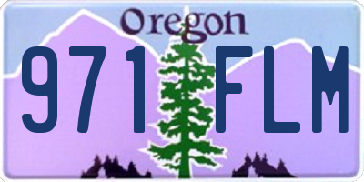 OR license plate 971FLM