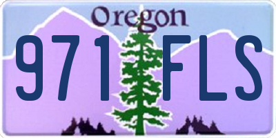OR license plate 971FLS