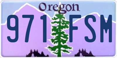 OR license plate 971FSM
