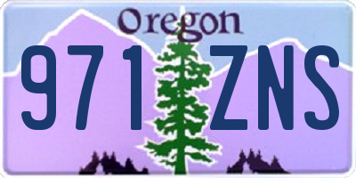 OR license plate 971ZNS