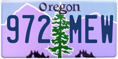 OR license plate 972MEW