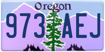 OR license plate 973AEJ