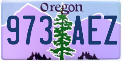 OR license plate 973AEZ