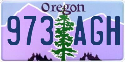 OR license plate 973AGH