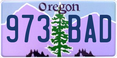 OR license plate 973BAD