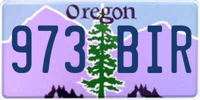OR license plate 973BIR