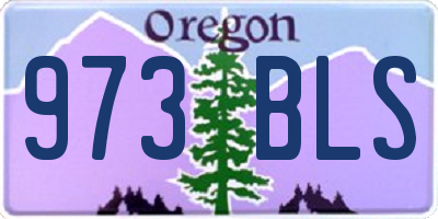 OR license plate 973BLS