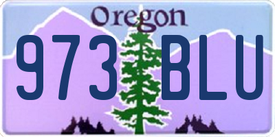 OR license plate 973BLU