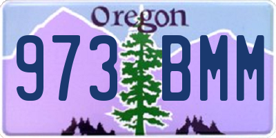 OR license plate 973BMM