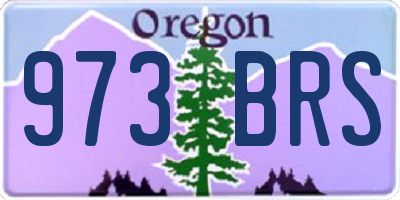 OR license plate 973BRS