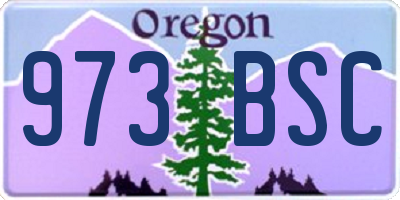 OR license plate 973BSC