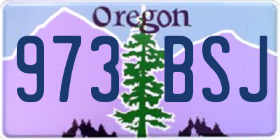 OR license plate 973BSJ
